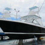 A blue and white seal with the words society of accredited marine surveyors.